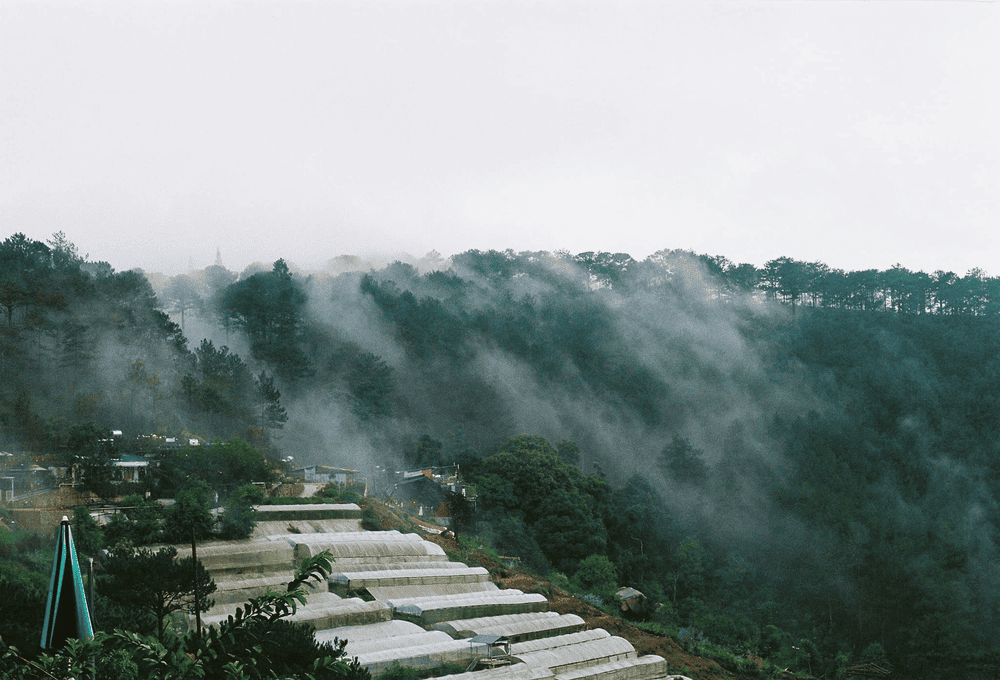 Điểm đến lý tưởng cho những người yêu thích mây trời, tìm về sự yên bình nơi phố núi (Nguồn: Fanpage Tiệm cà phê Cheo veooo)